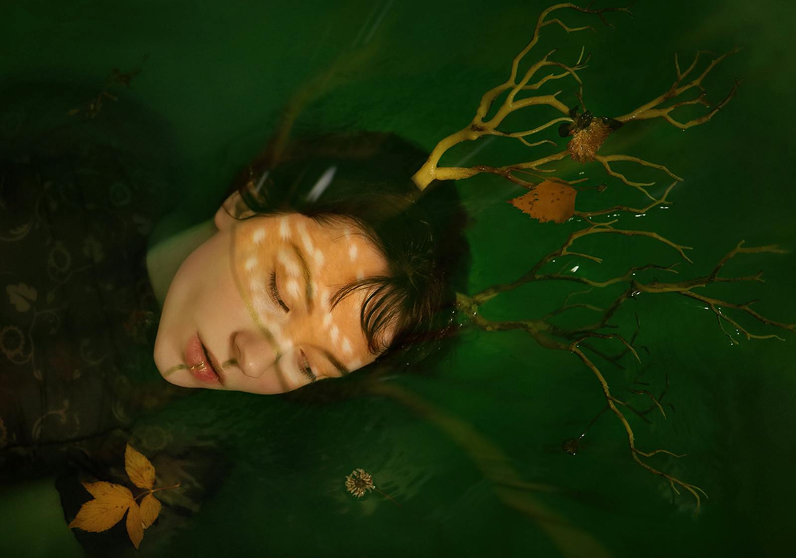 Artistic depiction of a person with twigs and antlers submerged in water, eyes closed.