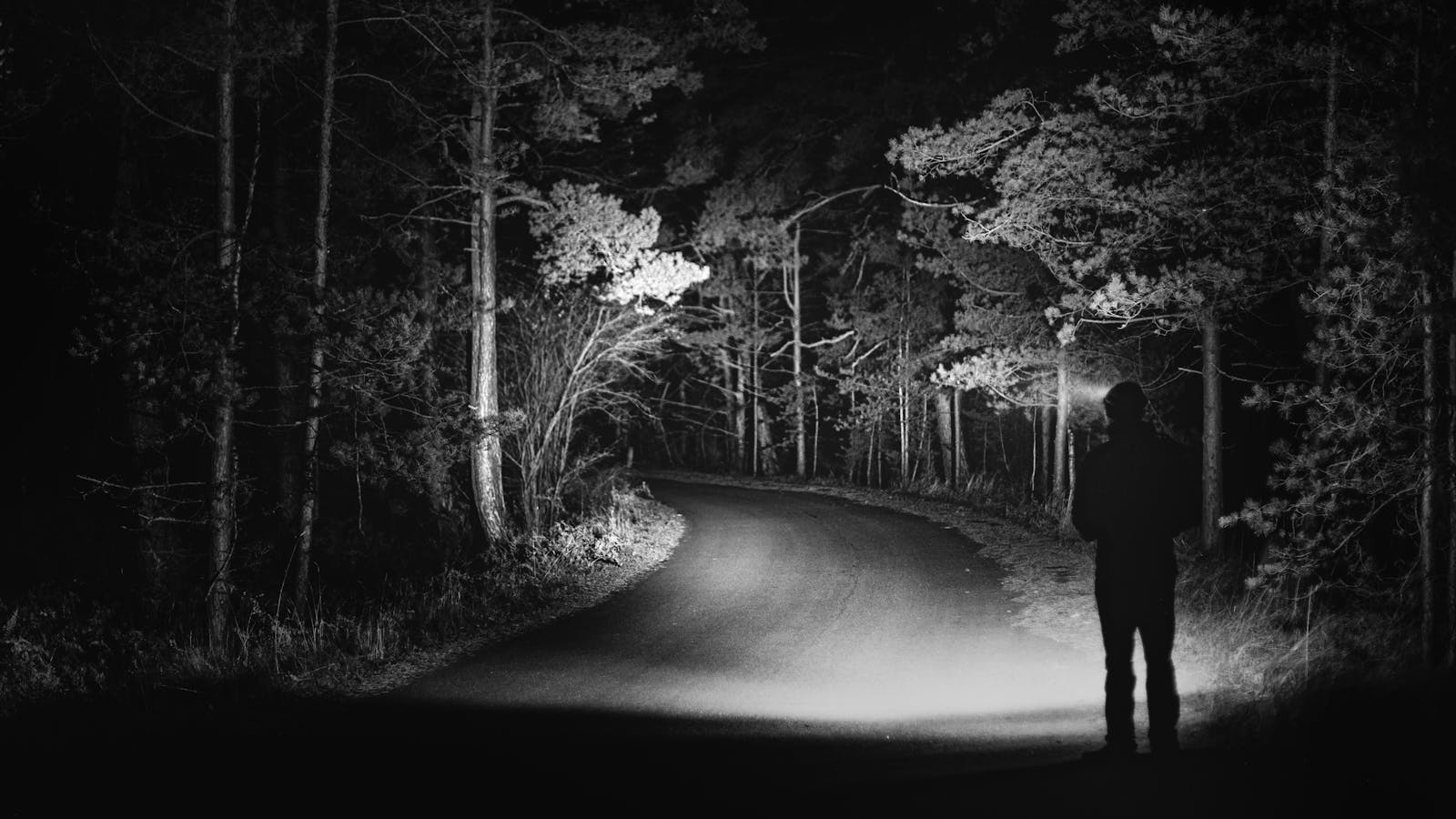 Mysterious forest road at night with a solitary silhouette, creating a haunting atmosphere.