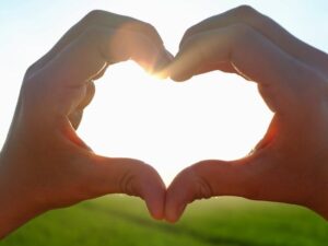Silhouette of heart-shaped hands with sunlight streaming through over a green field.